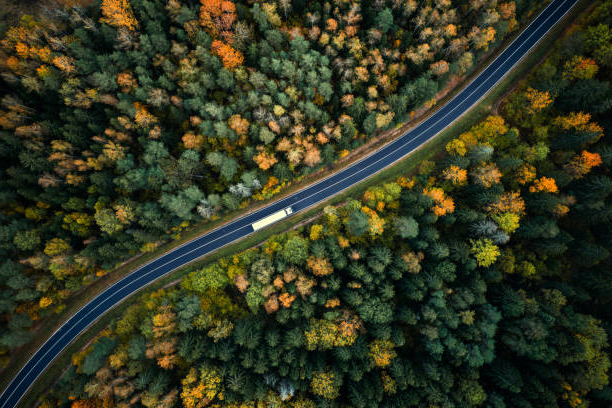 Arrive Logistics Carrier Truck Arial View Among Trees